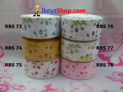 Pita RBS 73 78  large2